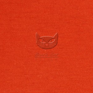 0171 soczysta pomarańcza-TANGERINE 5  